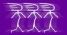 Logo Sozial-kulturelles Frauenzentrum Dessau e.V.