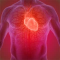 Spahn Volker Dr. &Auml;rztehaus Am Roteberg Arzt f&uuml;r Kardiologie Dillenburg