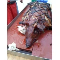 Spanferkel Fischer Bockenem