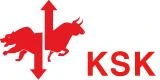 Logo Sparkasse S&uuml;dholstein
