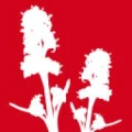 Logo Rau Walter GmbH & Co. KG Speickwerk