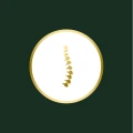 SPORTMASSAGE SEN K&ouml;ln