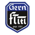 Logo Sportverein Freie Turnerschaft M&uuml;nchen Gern e.V.