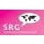 Logo Sprachenservice Renata Galic GmbH