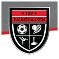 Logo SpVgg Kammerberg