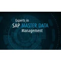 SSDE Consulting GmbH Verden