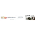 Logo Stadt-Apotheke