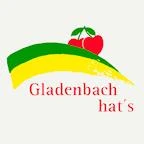 Logo Stadt Gladenbach