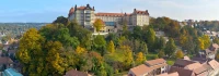 Logo Stadt Pirna