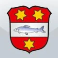 Logo Stadt Windischeschenbach