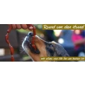 Logo StadtLandHund