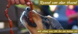 Logo StadtLandHund