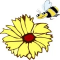 Logo Stadtverband der Kleing&auml;rtner Zwickau Stadt e.V.