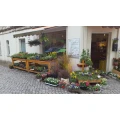 St&auml;dtisches Bestattungswesen Leipzig - Blumeneck Leipzig