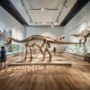 Städtisches Museum Seesen