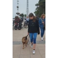 Starpfoten Hundeschule - Sina Hesse Sch&ouml;neck