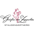 Logo Zeppelin