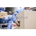 Logo Stecker Siegfried M&ouml;beltransporte GmbH