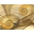 Logo Stefan Brunhoeber