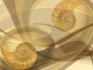 Logo Stefan Brunhoeber