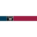 Logo Czech Teamiur Rechtsanw&auml;lte, Stefan