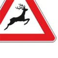 Logo Hirsch, Stefan