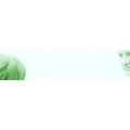 Logo Sch&ouml;ninger, Stefan
