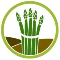Logo Schneider, Stefan