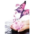 Logo Steffis Wellnessmassage