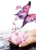Logo Steffis Wellnessmassage