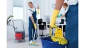 Logo Stein & Dach Service Siegburg