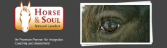 Logo Stephan Gerd Meyer HORSE & SOUL