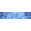 Logo Handel f&uuml;r Wassertechnik, Stephan Weil