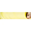Logo Sternchengruppe