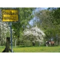 Logo Pferdehof, Steubeln