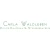 Logo Steuerkanzlei Carla Waldleben