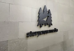 Logo storycrow.media