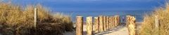 Logo Strandhafer Diedrichshagen