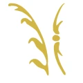 Strauss Finance Remscheid