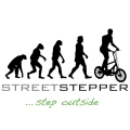 Streetstepper-Rosenheim Bad Feilnbach