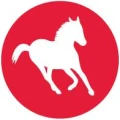 Logo Stremmer Sand + Kies GmbH