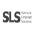 Logo Struk Language Solutions