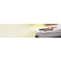 Logo Strutmann GmbH
