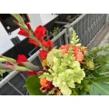 STUFF - Der andere Blumenladen Bremen