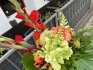 Logo STUFF - Der andere Blumenladen