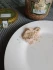 Logo Sudenburger Fleisch- und Wurstwaren GmbH