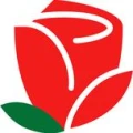 Logo S&uuml;dstern-Blumen
