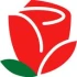 Logo Südstern Blumen Blumengroßhandel