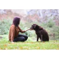 Experten f&uuml;r Mensch-Hund-Kommunikation