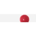 Logo Steinbusch, Susanne